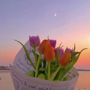 Meet your Posher, Kami